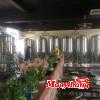 啤酒屋小型自釀啤酒設(shè)備，300升啤酒設(shè)備多少錢一套？