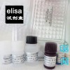 樣本(BGN)elisa 鼠/人/雞實驗