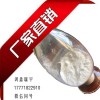 香菇多糖10%-30% :Lentinan