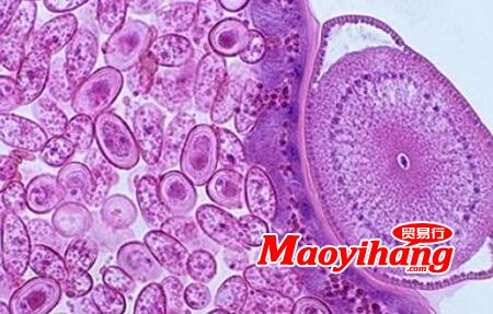 QQ截圖20200716101034