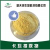 卡瓦呼叫提取物  新天域廠家現(xiàn)貨供應(yīng) 卡瓦內(nèi)脂30%-70%