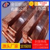 c1220紫銅排，t5高精度鍍錫紫銅排-t3寬幅紫銅排