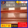 高品質(zhì)t1紫銅排，t3可拉伸紫銅排*t6耐腐蝕紫銅排