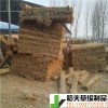 稻夫 凹形草支墊鐵路標(biāo)準(zhǔn) 草支墊 生產(chǎn)廠家 整車(chē)發(fā)貨