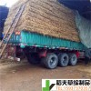 稻夫 d100型草支墊圖片 獲嘉草支墊 生產(chǎn)廠家 整車(chē)發(fā)貨