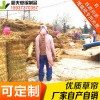 稻夫 草苫子生產(chǎn)廠家 保溫防凍草簾 草簾 生產(chǎn)廠家 整車(chē)發(fā)貨