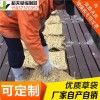 稻夫 河南草袋 草袋多少錢 草袋 生產(chǎn)廠家 整車發(fā)貨