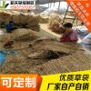 稻夫 草袋多少錢 防汛草袋 草袋 生產(chǎn)廠家 整車發(fā)貨