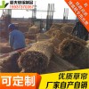 稻夫 草苫子批發(fā) 草苫子價(jià)格 草苫 生產(chǎn)廠家 整車發(fā)貨