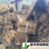 稻夫 廣西草支墊 山東草支墊 草支墊 生產(chǎn)廠家 整車發(fā)貨
