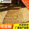 稻夫 草簾求購 草簾廠 草簾 生產(chǎn)廠家 整車發(fā)貨