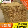 稻夫 天門草袋 草袋攔擋 草袋 生產(chǎn)廠家 整車發(fā)貨