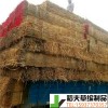 稻夫 草支擺 馬鞍山草棒廠 草支墊 生產(chǎn)廠家 整車發(fā)貨