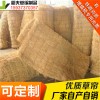 稻夫 裝飾草簾 甘肅草簾 草簾 生產(chǎn)廠家 整車發(fā)貨