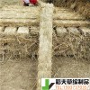 稻夫 草耙子 火車草支墊 草支墊 生產(chǎn)廠家 整車發(fā)貨