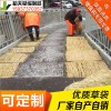 稻夫 草袋子 草袋子 草袋 生產(chǎn)廠家 整車發(fā)貨