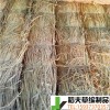 稻夫 草支墊價(jià)格 草墊子 草支墊 生產(chǎn)廠家 整車發(fā)貨
