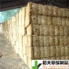 稻夫 洪湖草支墊制品 草枝擺 草支墊 生產(chǎn)廠家 整車(chē)發(fā)貨