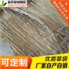 稻夫 草繩草袋 草袋圍堰施工方案 草袋 生產(chǎn)廠家 整車發(fā)貨