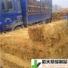 稻夫 阻燃型草棒墊 沈陽草墊子 草支墊 生產(chǎn)廠家 整車發(fā)貨