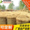 稻夫 賣草簾 賣草簾 草簾 生產(chǎn)廠家 整車發(fā)貨