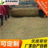 稻夫 魚臺草苫子批發(fā)價格 草簾子 草苫 生產(chǎn)廠家 整車發(fā)貨