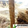 稻夫 草棒唐山 凹形草支墊機 草支墊 生產(chǎn)廠家 整車發(fā)貨