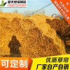 稻夫 公路草苫子廠家 草苫機 草苫 生產(chǎn)廠家 整車發(fā)貨