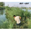 4.3米16電一體竿,鋰電一桿清,打漁桿伸縮一體竿