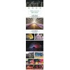 LED彩燈樹燈戶外防水裝飾樹燈七彩燈帶商場庭園路邊樹燈