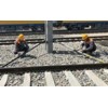 電力作業(yè)軌道整桿器 鐵路整桿器