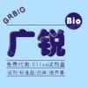 大鼠IgG實驗,用免疫球蛋白G試劑盒
