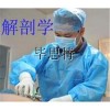 法醫(yī)尸體解剖實(shí)驗(yàn)室設(shè)備