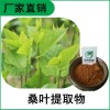 森冉生物 桑葉提取物 冬桑葉提取物 植物提取原料粉