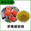 森冉生物 茅莓提取物 紅梅消提取物 比例提取原料粉