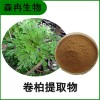 森冉生物 卷柏提取物 回陽(yáng)草提取物 ?；瓴萏崛∥? onmouseover=