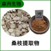 森冉生物 桑枝提取物 桑條提取物 植物提取原料粉