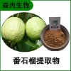 森冉生物 番石榴提取物 番石榴果粉