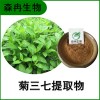 森冉生物 菊三七提取物 費菜提取物 比例提取原料粉
