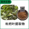 森冉生物 枇杷葉提取物 蘆橘葉提取物 比例提取原料粉