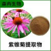 森冉生物 紫錐菊提取物 松果菊提取物 比例提取原料粉
