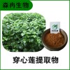 森冉生物 穿心蓮提取物 一見喜提取物 穿心蓮內(nèi)脂