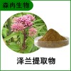 森冉生物 澤蘭提取物 地瓜苗提取物 比例提取原料粉