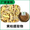 森冉生物 黃柏提取物 川柏提取物 比例提取原料粉