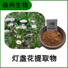 森冉生物 燈盞細辛提取物 燈盞花提取物 比例提取原料粉