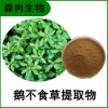 森冉生物 鵝不食草提取物 石胡荽提取物 比例提取原料粉