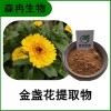 森冉生物 金盞花提取物 長(zhǎng)生菊提取物 比例提取原料粉