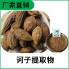 森冉生物 訶子提取物 訶藜提取物 比例提取原料粉