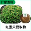 森冉生物 紅景天提取物 紅景天甙 植物提取原料粉