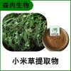 森冉生物 小米草提取物 小米草濃縮粉 比例提取原料粉